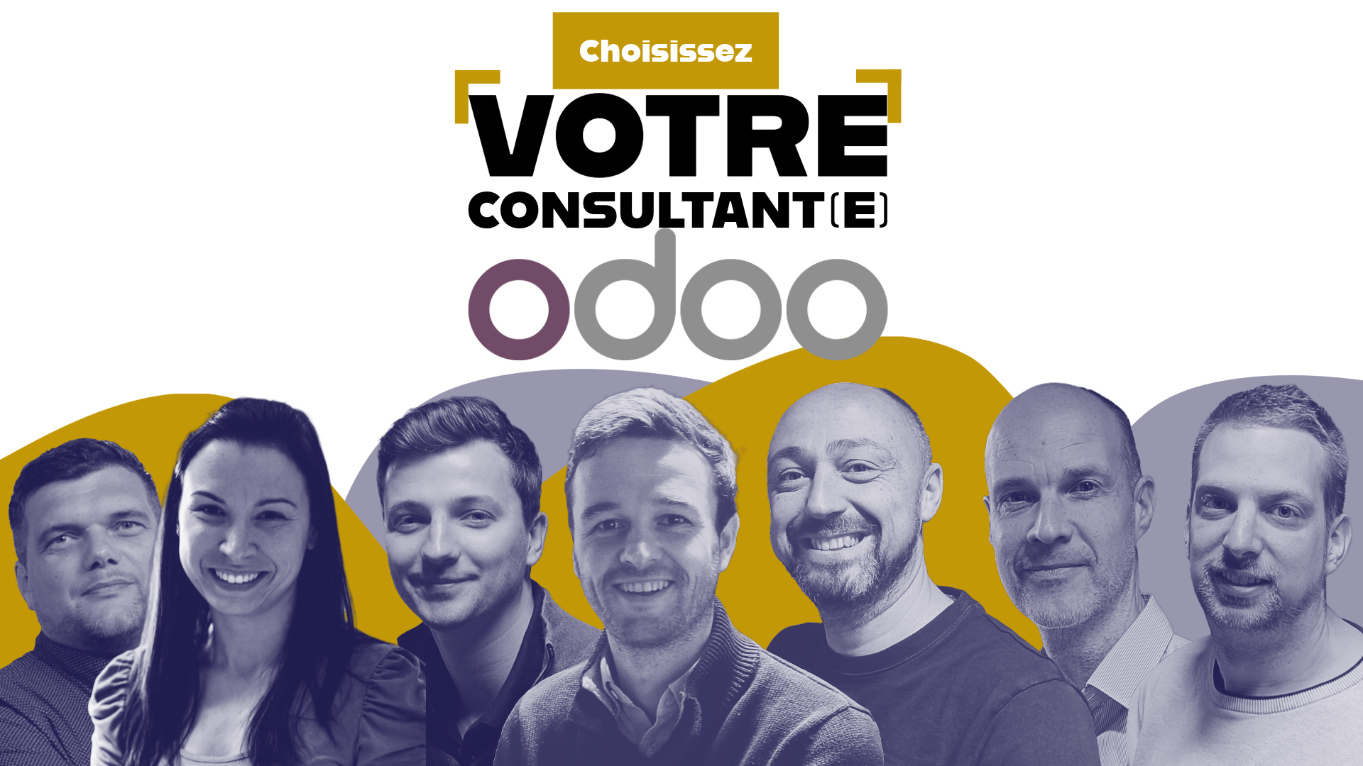 Consultant Odoo